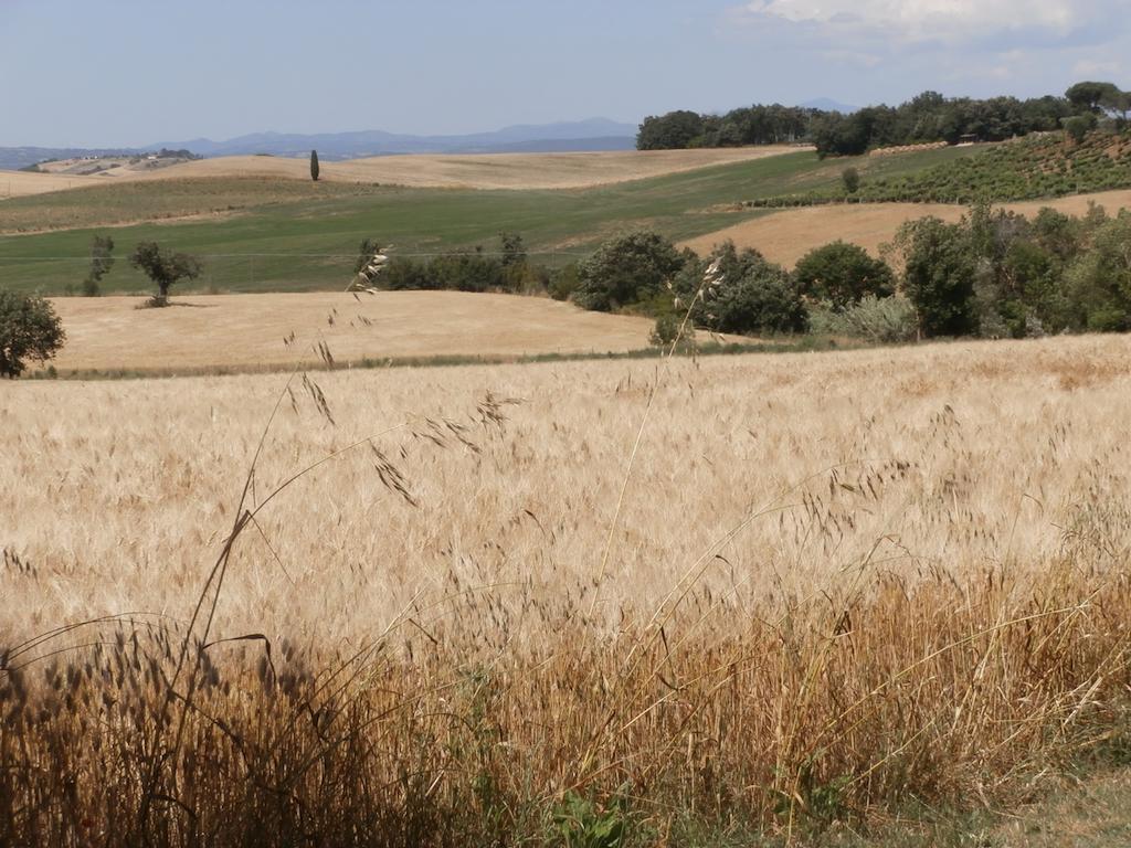 Вилла Agriturismo Poggio Sassineri Мальяно-ин-Тоскана Экстерьер фото